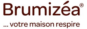 Brumizea