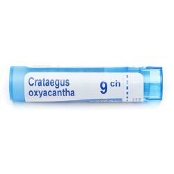 Boiron Crataegus oxyacantha granules - 9 CH