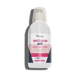 Brûleur 4 en 1 Morosil 400