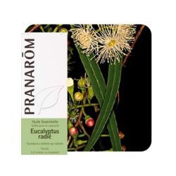 Huile Essentielle Eucalyptus Radié - 10ml