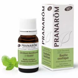 Basilic exotique Bio - 10ml