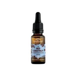 Marronnier Rouge N25 - 20ml