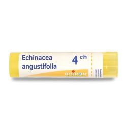 Boiron Echinacea angustifolia granules - 4 CH