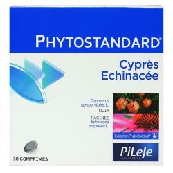 Pileje Phytostand Cypres Echin Cpr 30