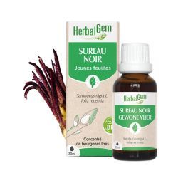 Concentrés de bourgeons Bourgeon de Sureau noir - Bio - 30 ml