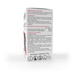 Arkogélules BIO Ail noir