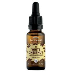Fleurs de Bach Marronier Blanc N35 - 20ml