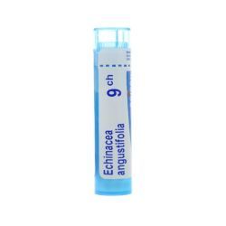 Boiron Echinacea angustifolia granules - 9 CH