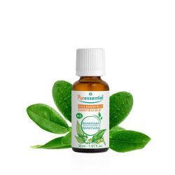 Huiles essentielles Huile Essentielle Ravintsara BIO - 30ml