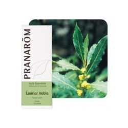 Huile essentielle Laurier noble - 5ml