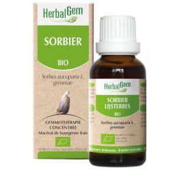 Sorbier - 15ml