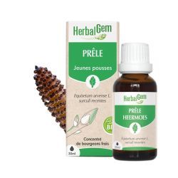 Concentrés de bourgeons Bourgeon de Prêle - 30 ml