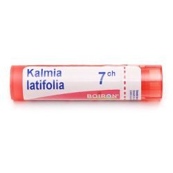 Kalmia latifolia granules - 7 CH
