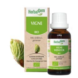 Concentrés de bourgeons Bourgeon de Vigne - Bio - 15 ml