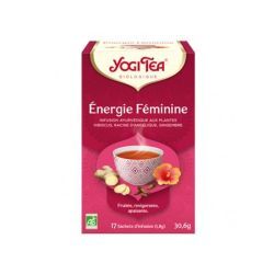 Energie Féminine infusion ayurvédique - 17 sachets