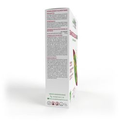 Arkofluides® Ginkgo Biloba BIO