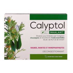 CALYPTOL INHALANT, émulsion pour inhalation par fumigation - 10 ampoules