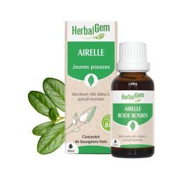 Concentrés de bourgeons Airelle - 15 ml