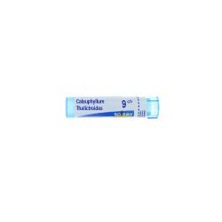 Boiron Caulophyllum thalictroides 9CH dose - 9 CH