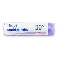 Boiron Thuya occidentalis dose - 30 CH