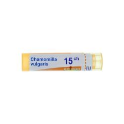 Chamomilla vulgaris granules homéopathie Boiron - 15 CH