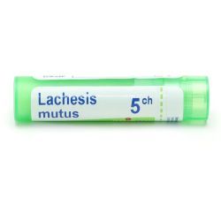 Boiron Lachesis mutus granules - 5 CH