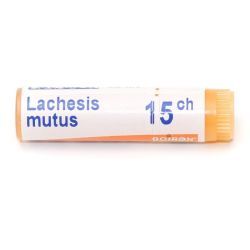 Boiron Lachesis mutus dose - 15 CH