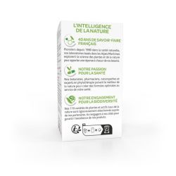 Arkogélules Gymnema sylvestre