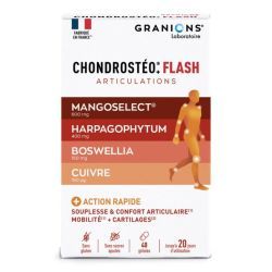 Chondrostéo+ Chondrostéo+ Flash - 600 mg