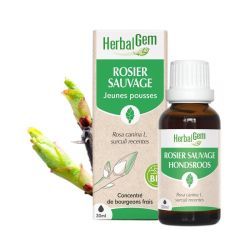 Concentrés de bourgeons Bourgeon de Rosier sauvage - Bio - 30ml