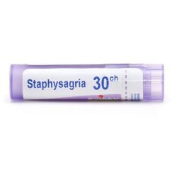 Boiron Staphysagria granules - 30 CH