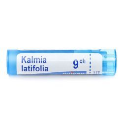 Boiron Kalmia latifolia granules - 9 CH
