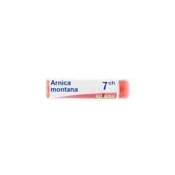 Boiron Arnica montana dose - 7 CH