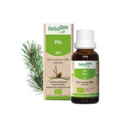 Macérat de Pin Bio - 30ml