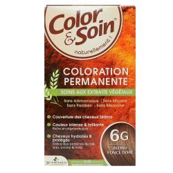 Color & Soin Coloration Blond Foncé Doré 6G