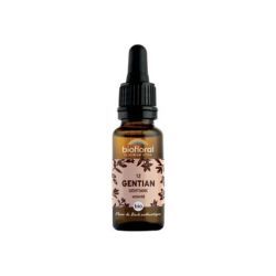Fleurs Bach Gentiane N12 - 20ml