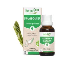 Concentrés de bourgeons Bourgeon de framboisier - Bio - 30 ml