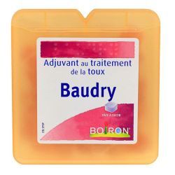 BAUDRY PÂTES A SUCER BOIRON