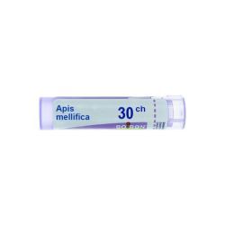 Apis mellifica granules homéopathiques - 30 CH