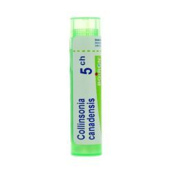 Boiron Collinsonia Canadensis granules - 5 CH