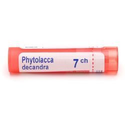 Boiron Phytolacca decandra granules - 7 CH