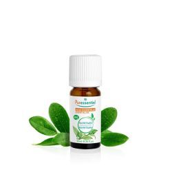 Huiles essentielles Huile Essentielle Ravintsara BIO - 10 ml