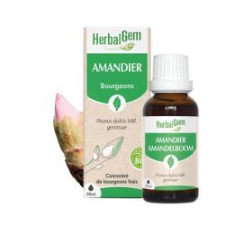 Concentrés de bourgeons Amandier - 15ml