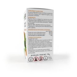 Arkogélules BIO Éleuthérocoque