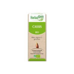 HerbalGem Bio Cassis - 30 ml