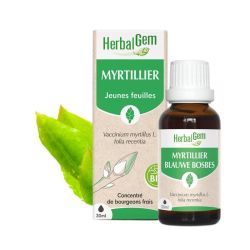 Concentrés de bourgeons Bourgeon de myrtillier - 30 ml