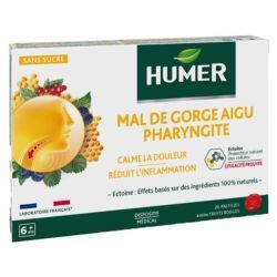 Pharyngite Pastilles Baies Sauvages - B/20