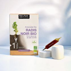 Ampoules Radis noir bio - 20 ampoules