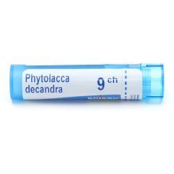 Boiron Phytolacca decandra granules - 9 CH