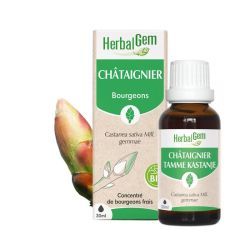 Concentrés de bourgeons Châtaignier - 15 ml